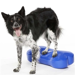 FitPaws K9 Fitbone Balance Træning Til Hund Blue